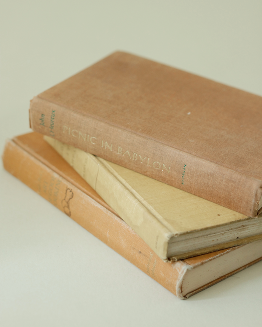 Desert Kitchen Book Bundle of 3